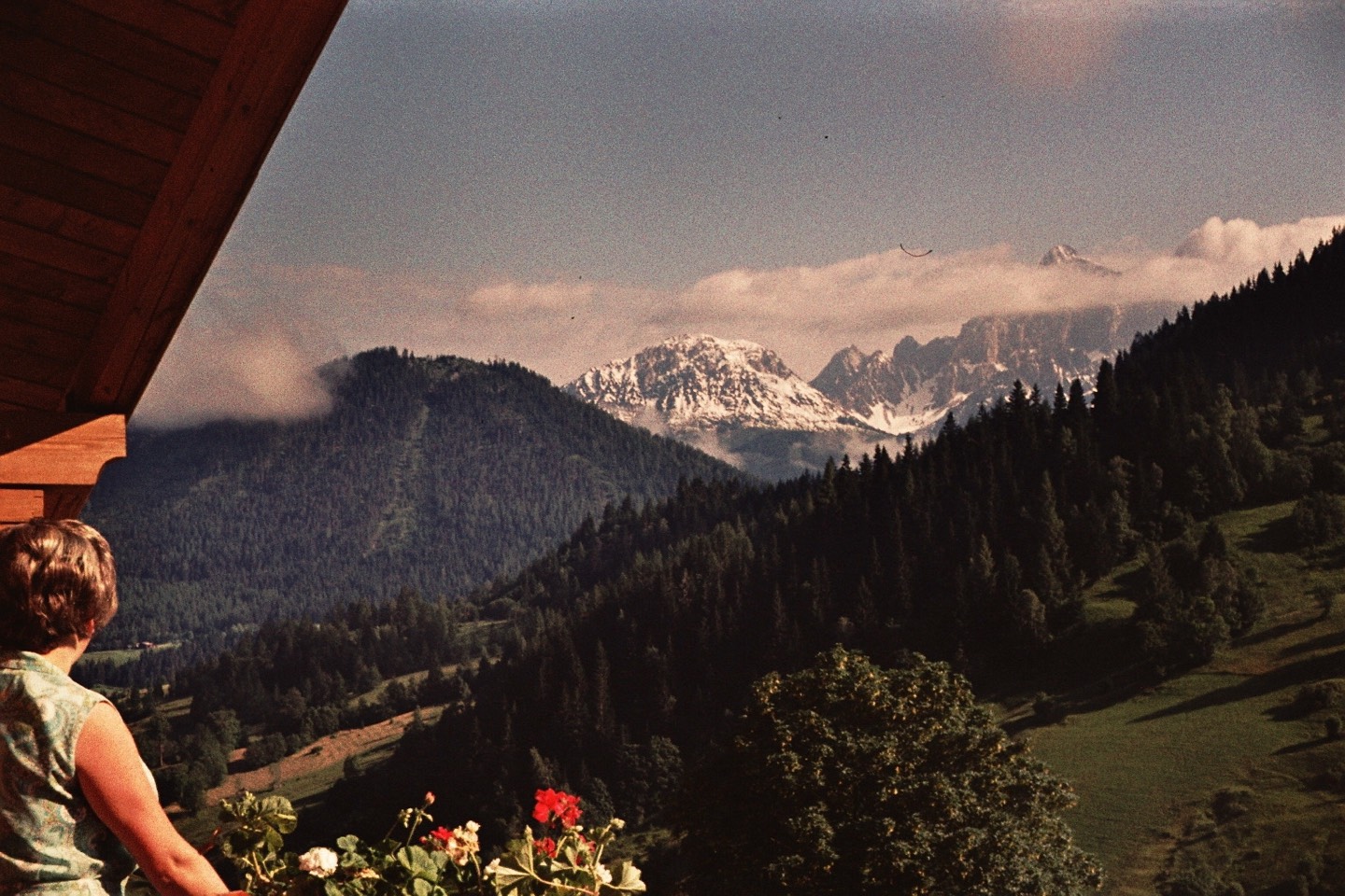 astlehen.at - first tourists in the 1970s at the farm